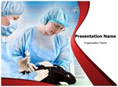 Veterinary Editable Template