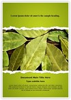 Bay Leaves Editable Template