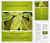 Bay Leaves Editable PowerPoint Template