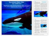 Killer Whale Editable PowerPoint Template
