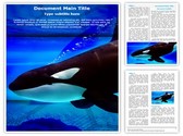 Killer Whale Template