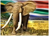 African Elephant Editable Template