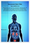 Urinary System Editable Template