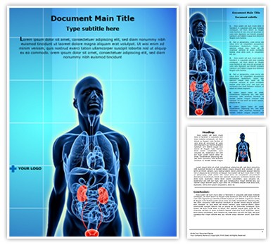 Urinary System Editable Word Template
